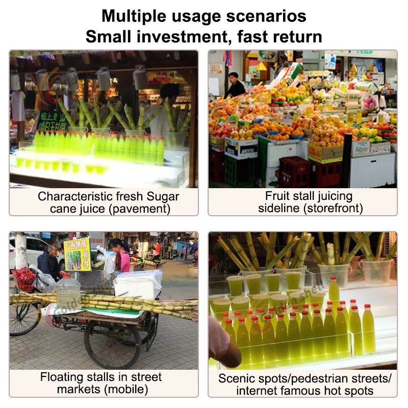 Sugarcane Juicer best